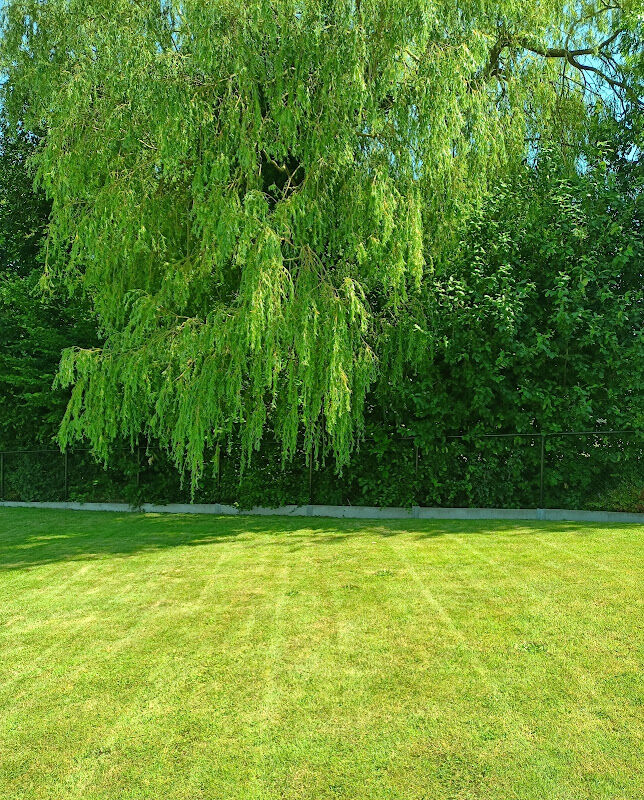 Foto van Callaert Home and garden design